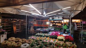 LED Profil zur Pavillon Beleuchtung
